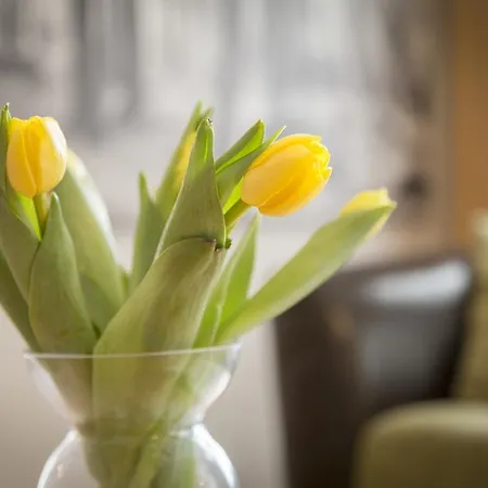 Apartament Saaresalu Center Parnawa