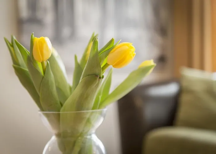 Apartment Saaresalu Center Parnu